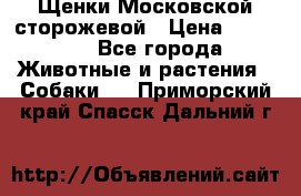 Щенки Московской сторожевой › Цена ­ 35 000 - Все города Животные и растения » Собаки   . Приморский край,Спасск-Дальний г.